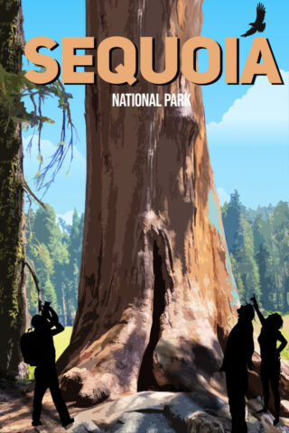 Sequoia National Park California USA